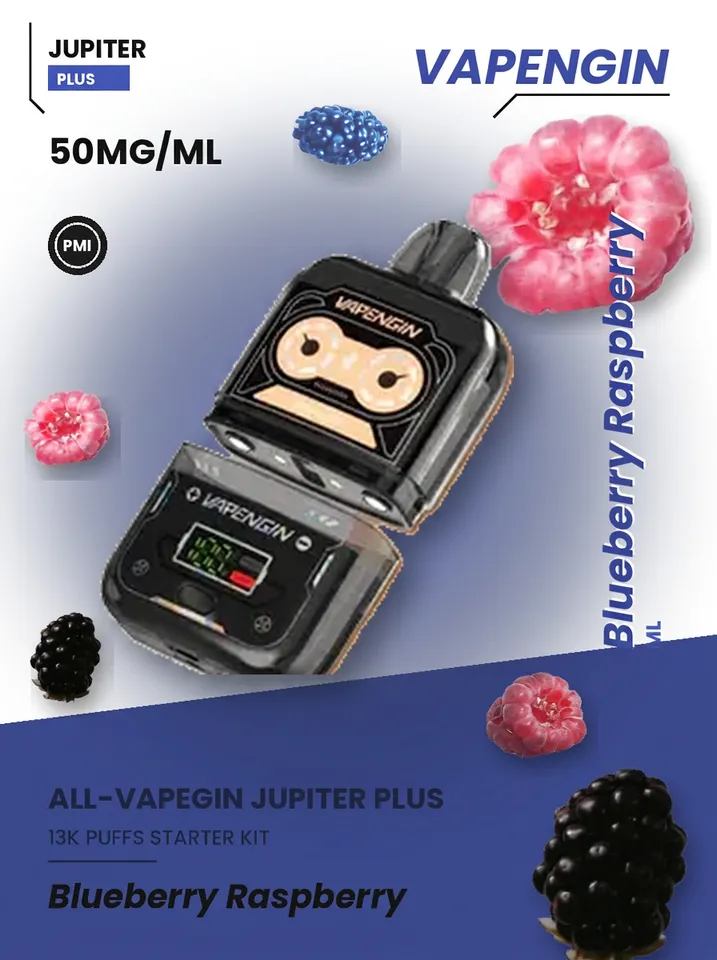 Vapengin Jupiter Plus Starter Kit Blueberry Raspberry — Blueberry Raspberry available at Vape Culture